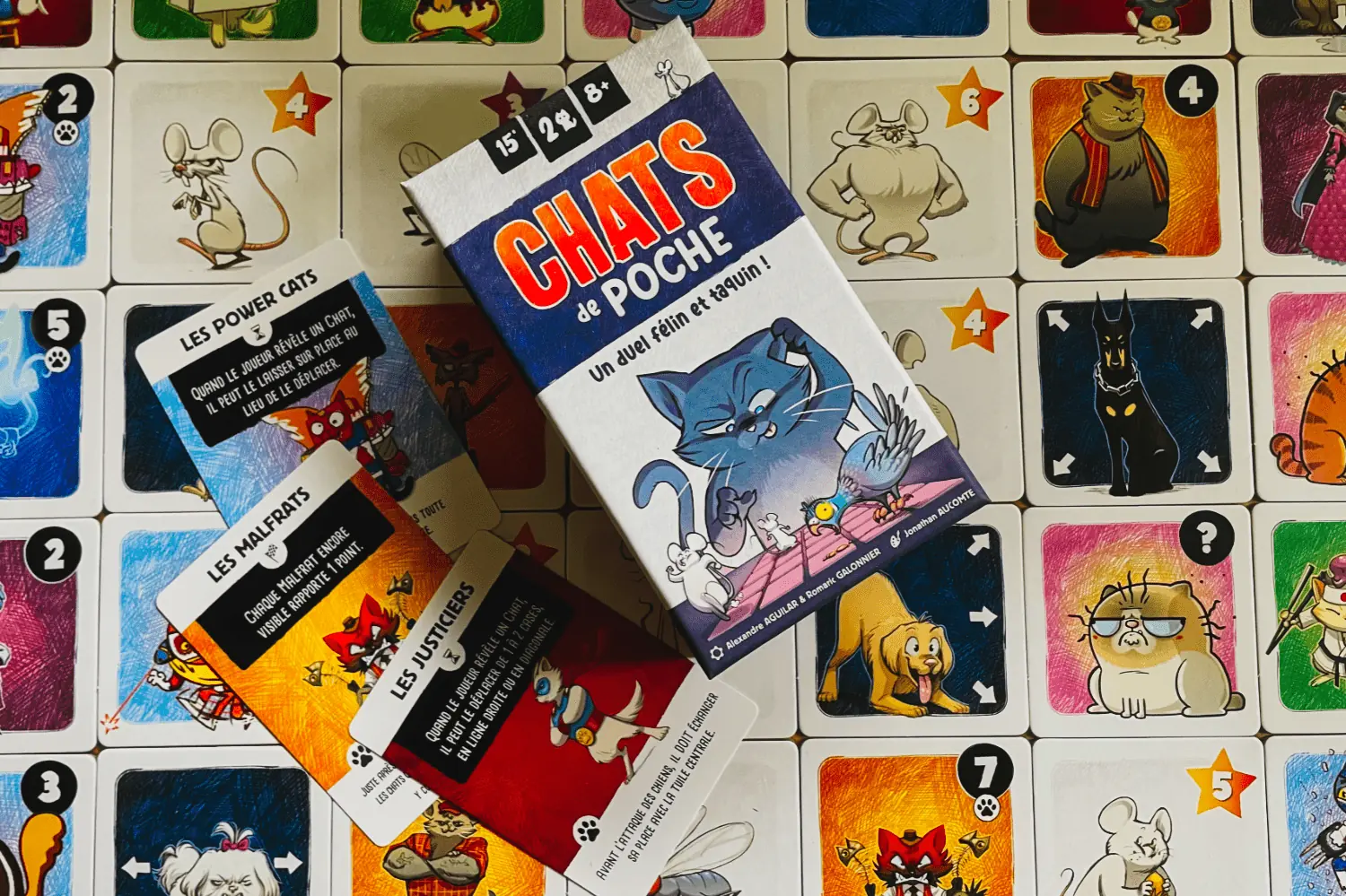 Jeux /images/Jeux/jeux-deux/chats-de-poche/IMG_0915.webp
